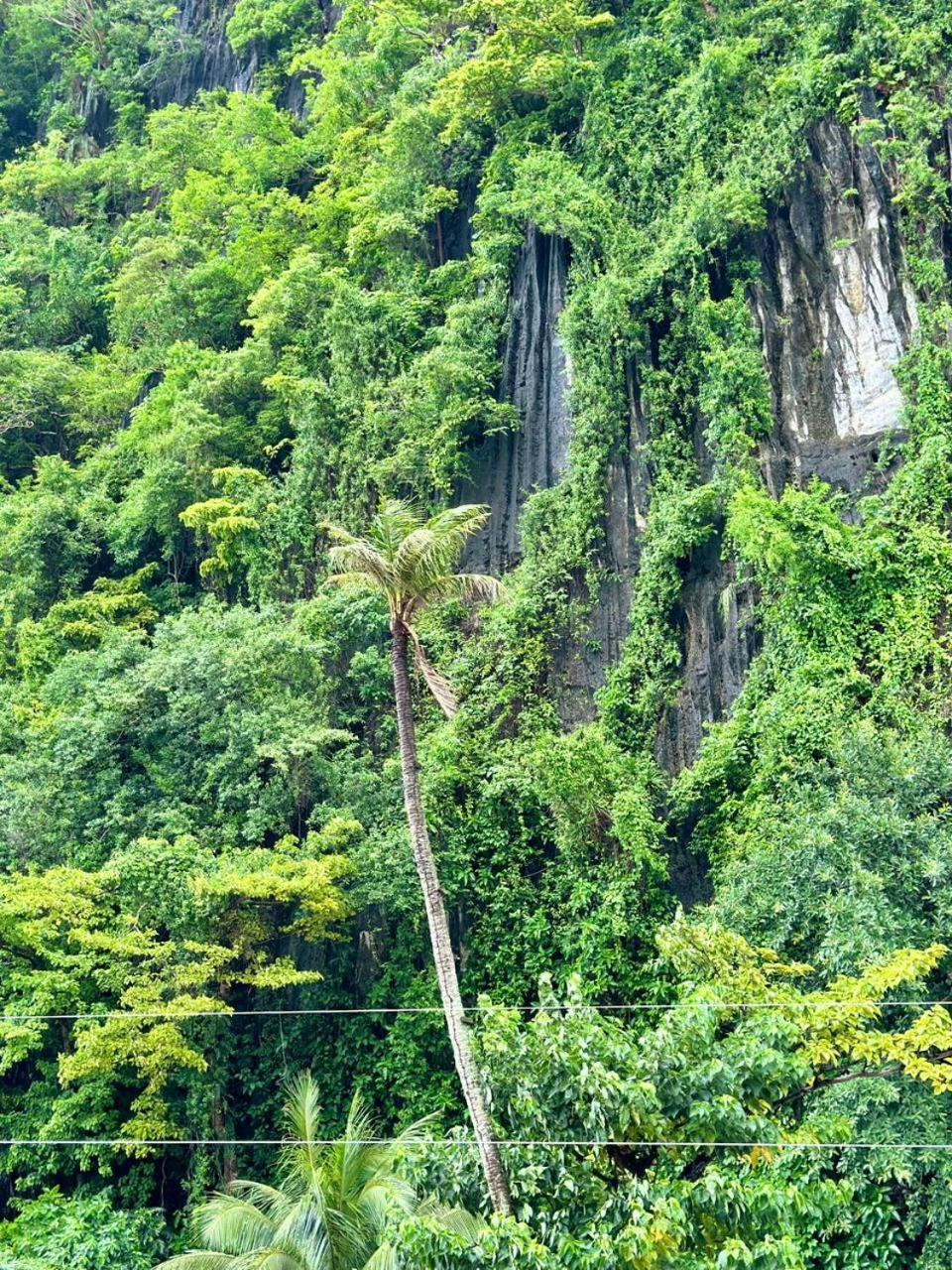 Mayad El Nido Inn Ngoại thất bức ảnh