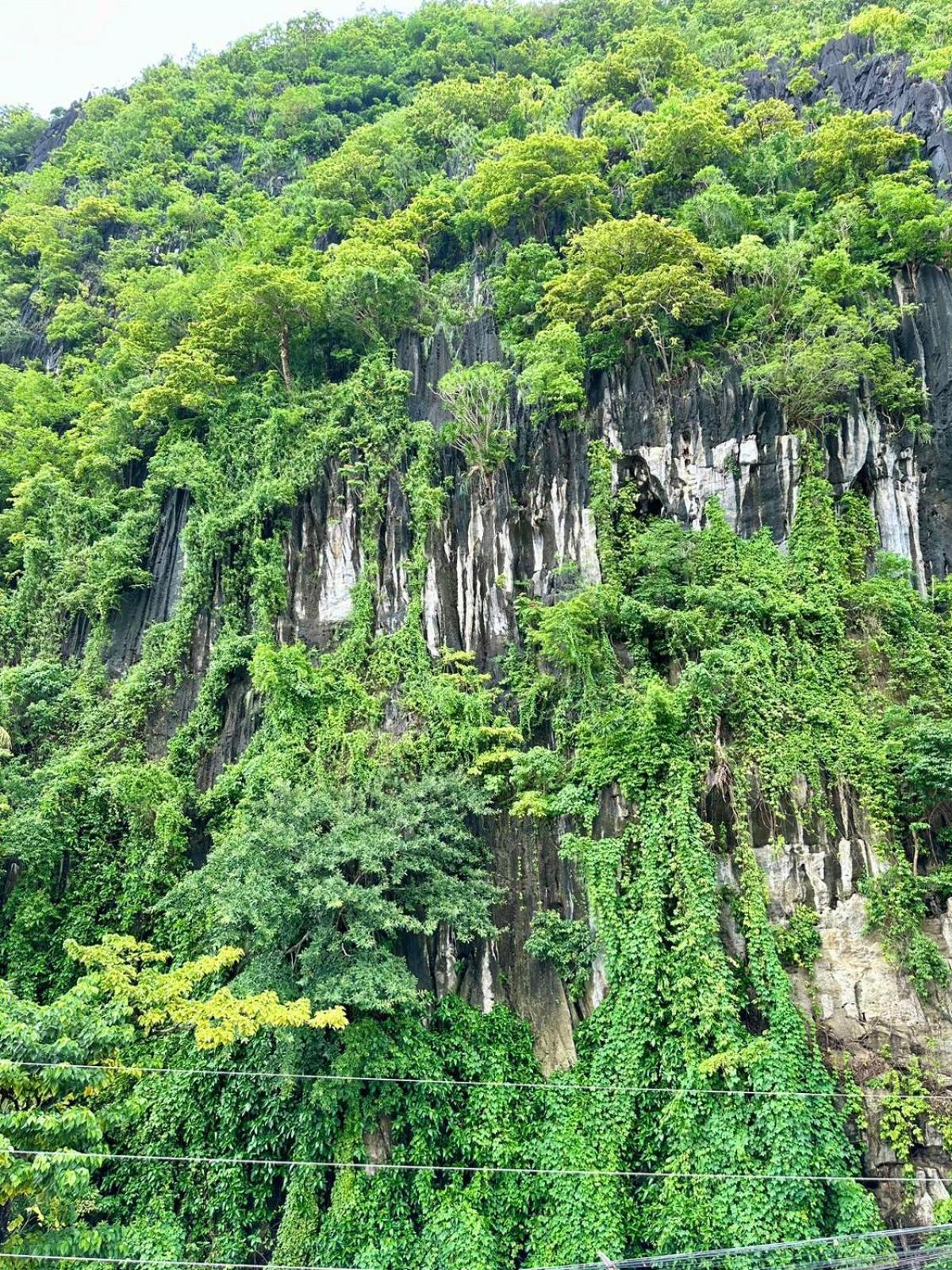 Mayad El Nido Inn Ngoại thất bức ảnh