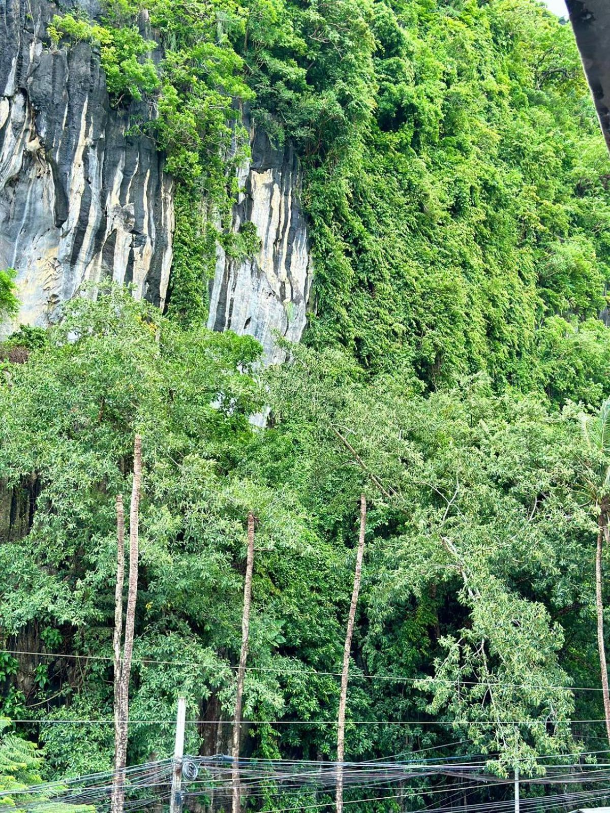 Mayad El Nido Inn Ngoại thất bức ảnh